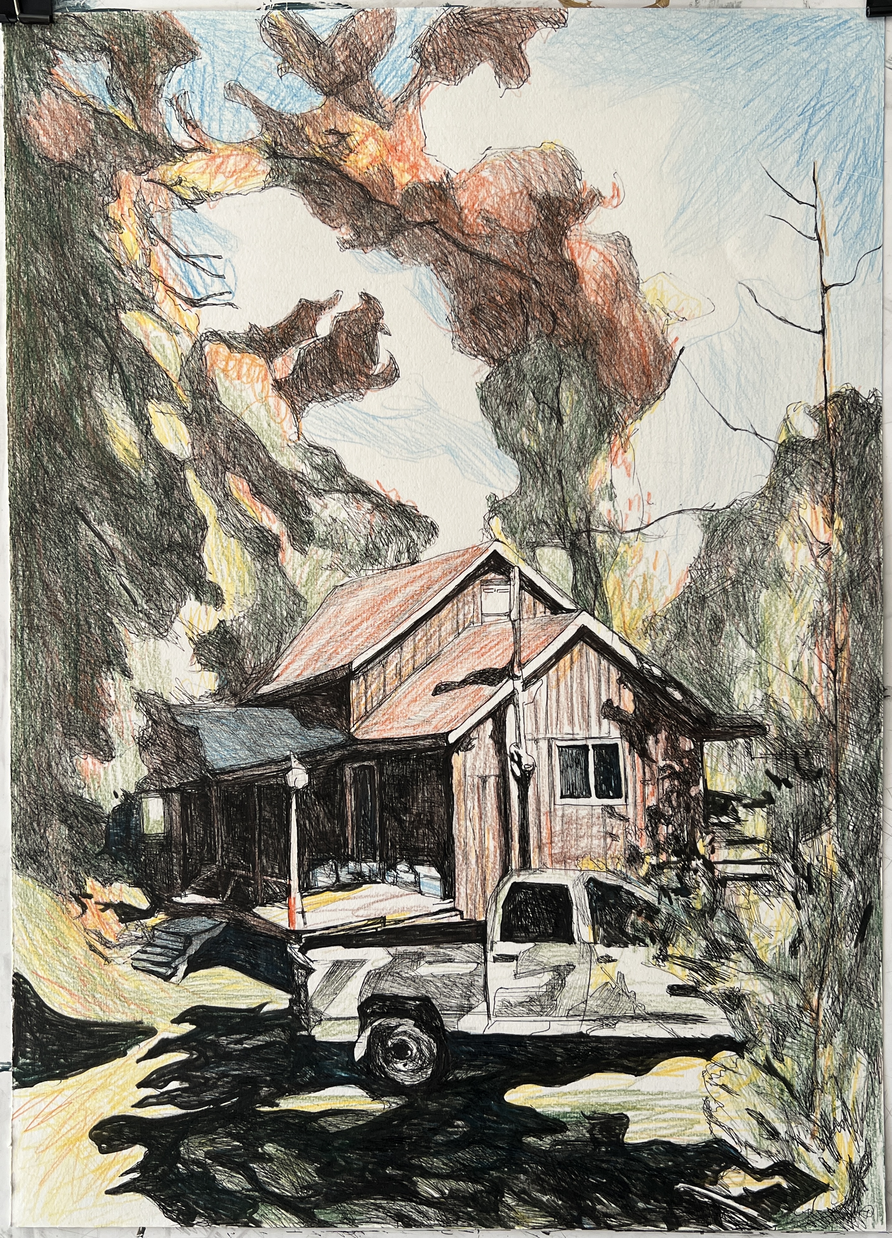 Forest Cabin Study