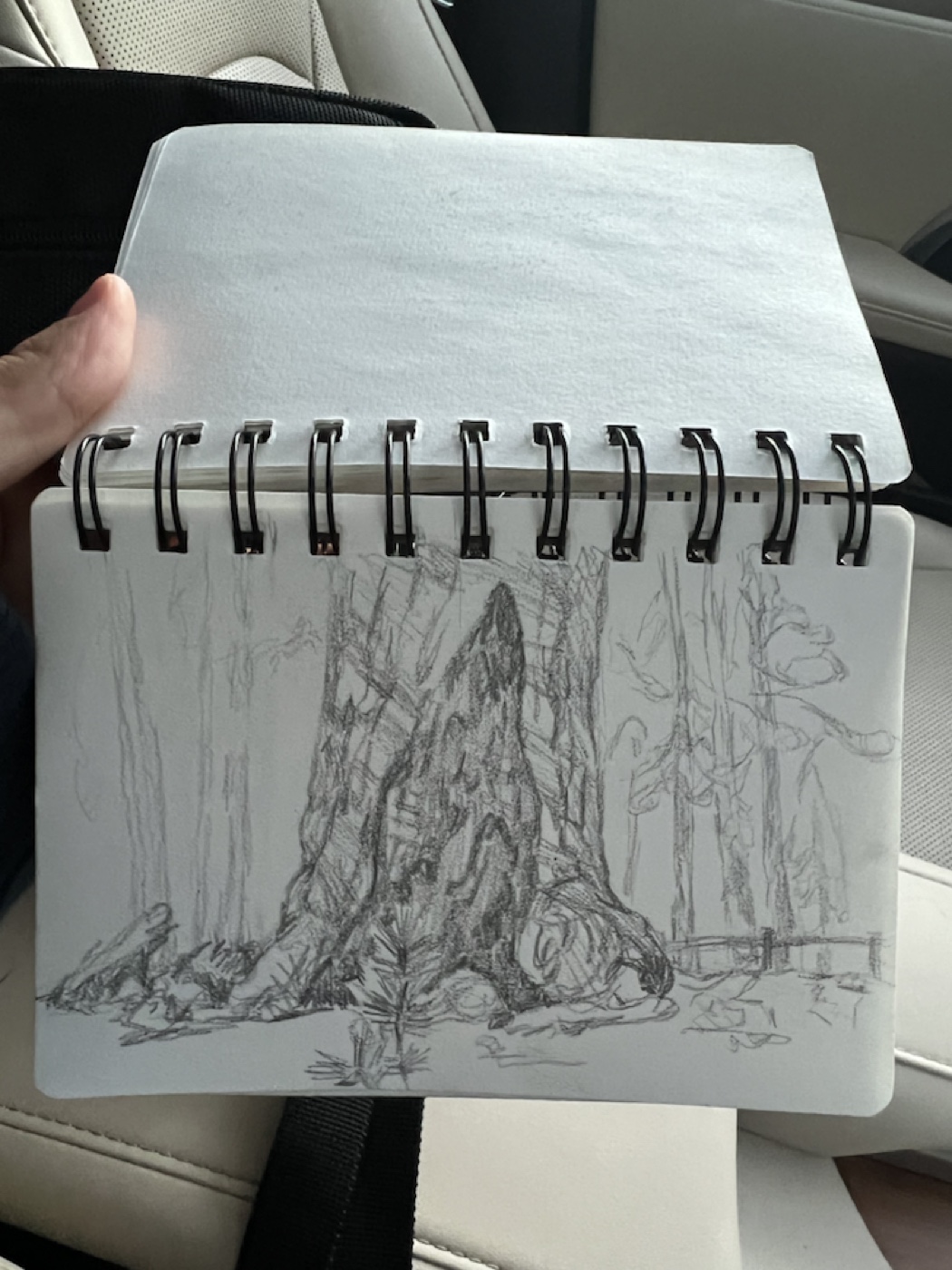 Rock Formation Study